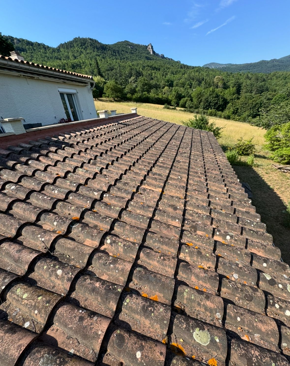 Pollution, Lichens, mousses et Champignons incrustés sur vos tuiles..